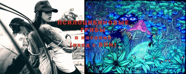 дживик Михайлов