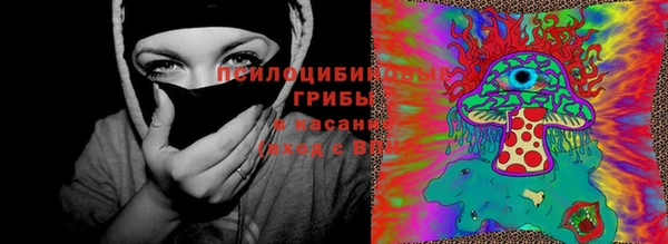 дживик Михайлов