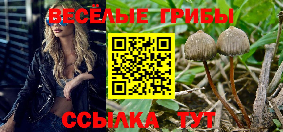 Псилоцибиновые грибы GOLDEN TEACHER Мыски