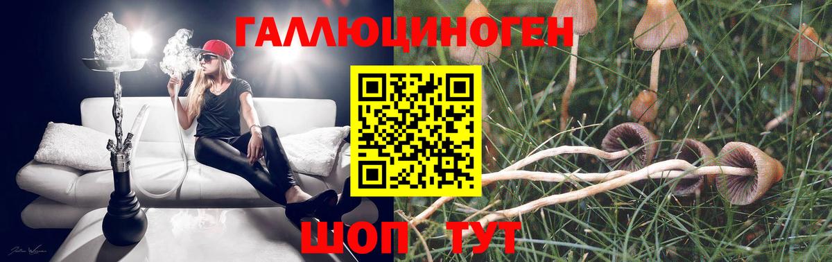 Галлюциногенные грибы прущие грибы  Вход с VPN  Мыски  закладка  Галлюциногенные грибы Magic Shrooms 