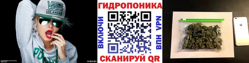 наркота  Мыски  Канабис семена 