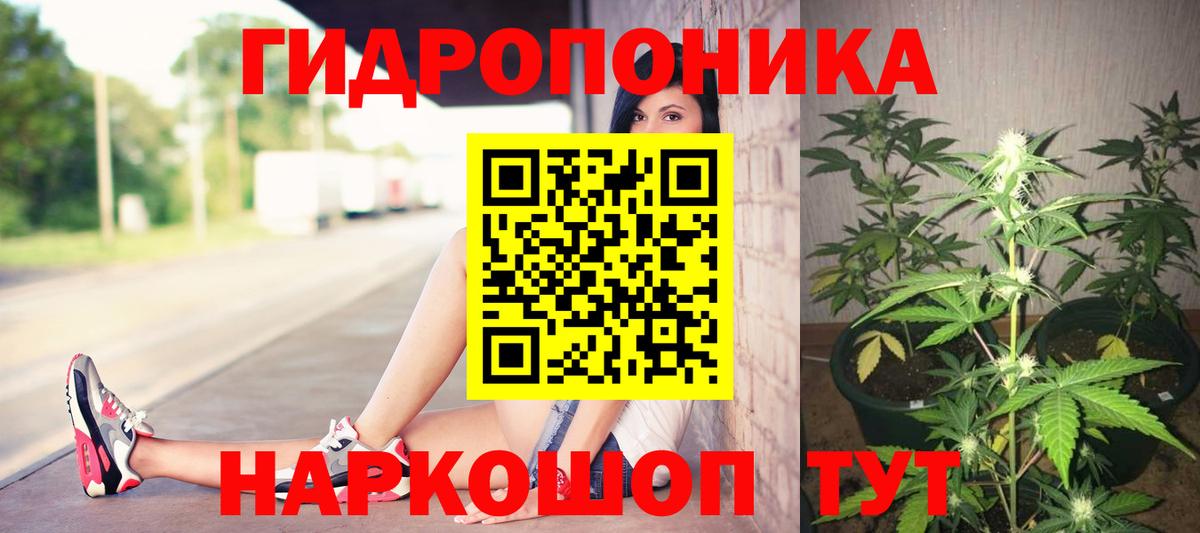 МАРИХУАНА AK-47  Мыски  Канабис планчик  Бошки Шишки Ganja  Каннабис Amnesia 